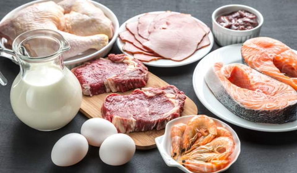 alimentos-de-origem-animal