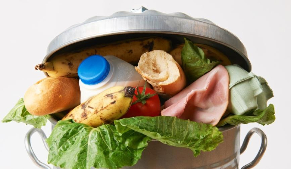 desperdicio-de-alimentos-lixo-cascas-1651001209843_v2_900x506